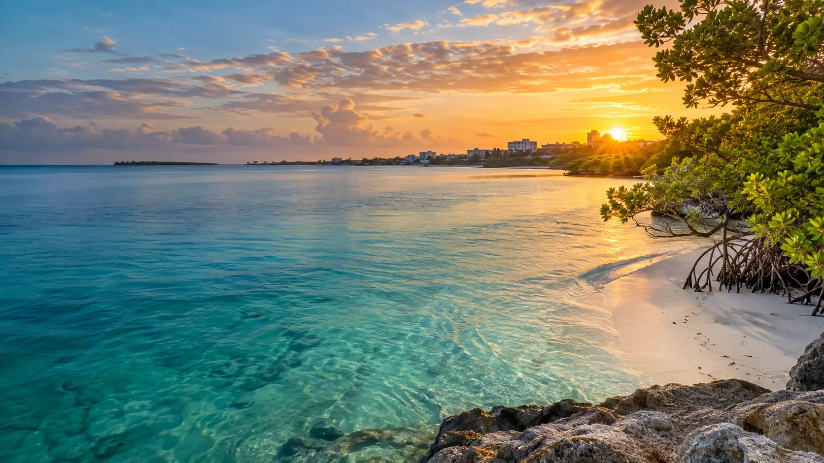 Florida coast as inspiration for a Miami cruise