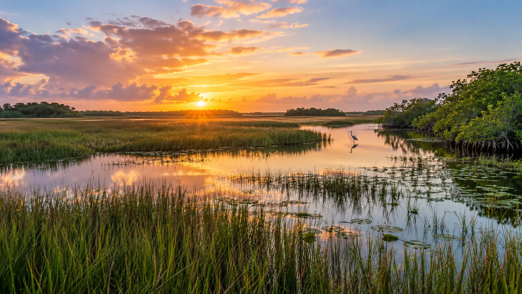 Image of Everglades National Park