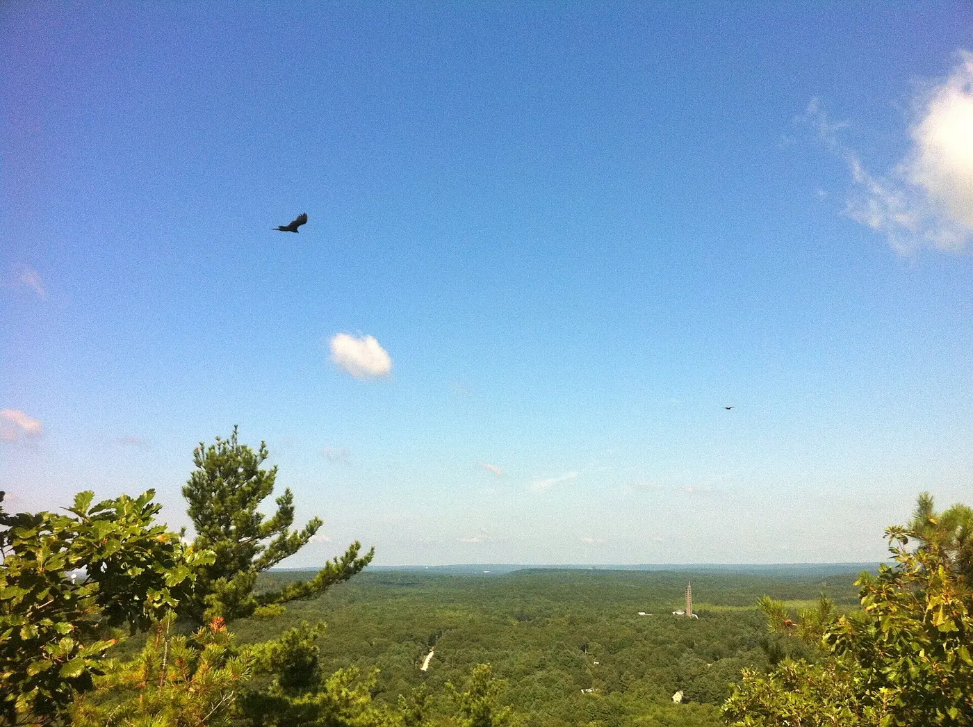 Mashantucket Pequot Museum — Narragansett Trail's Lantern Hill view of hawks flying. Mashantucket Pequot Museum can be seen in the far background.