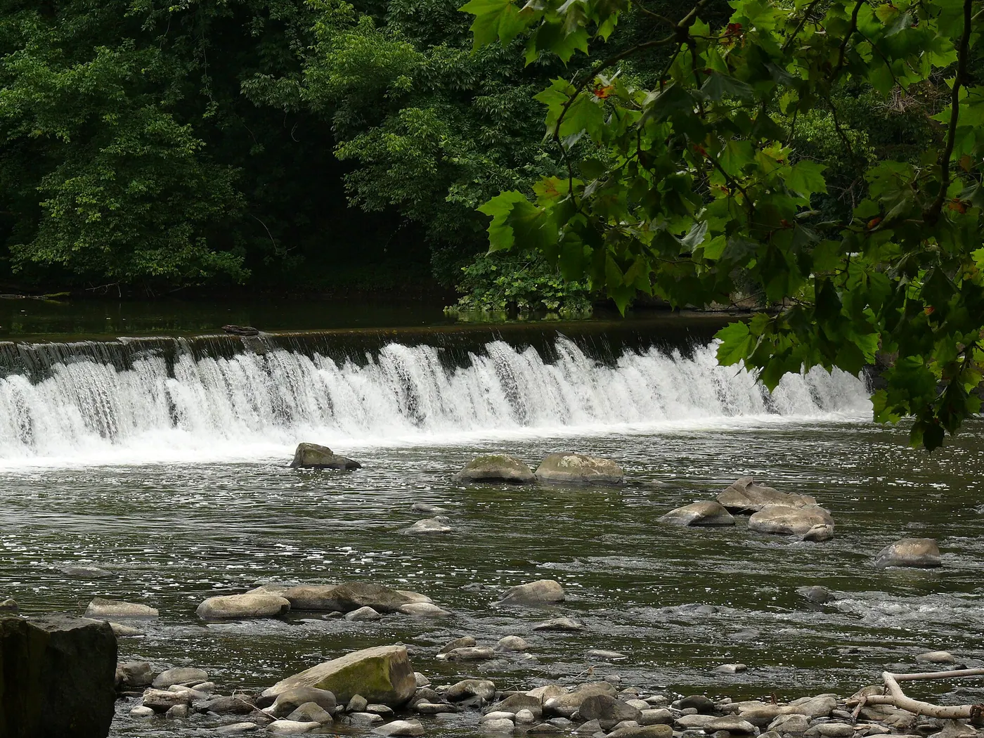 Brandywine & Wilmington — Brandywine Creek at Hagley Museum 2