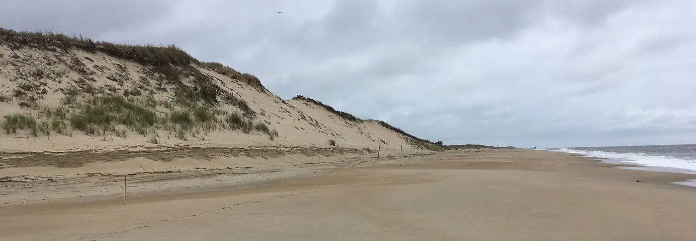 Image of Cape Cod National Seashore