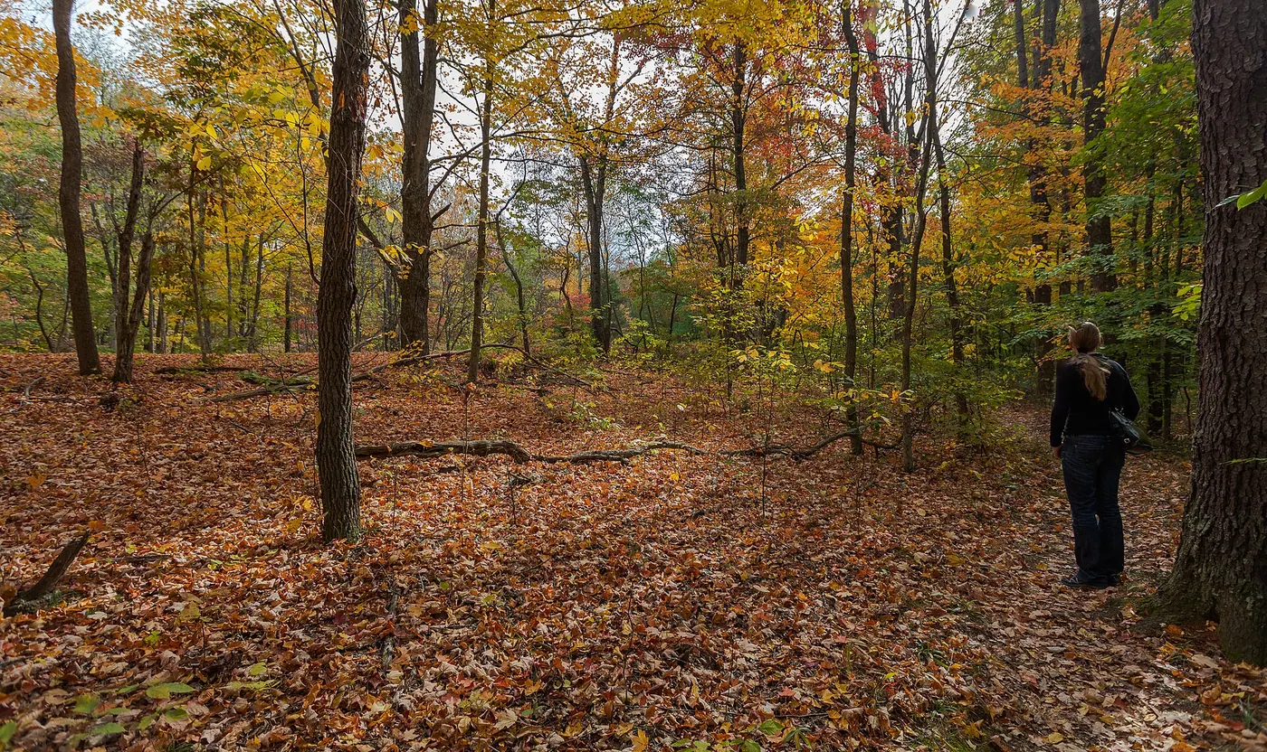 Brown County & Nashville — Parque Estatal Brown County, Indiana, Estados Unidos, 2012-10-14, DD 01