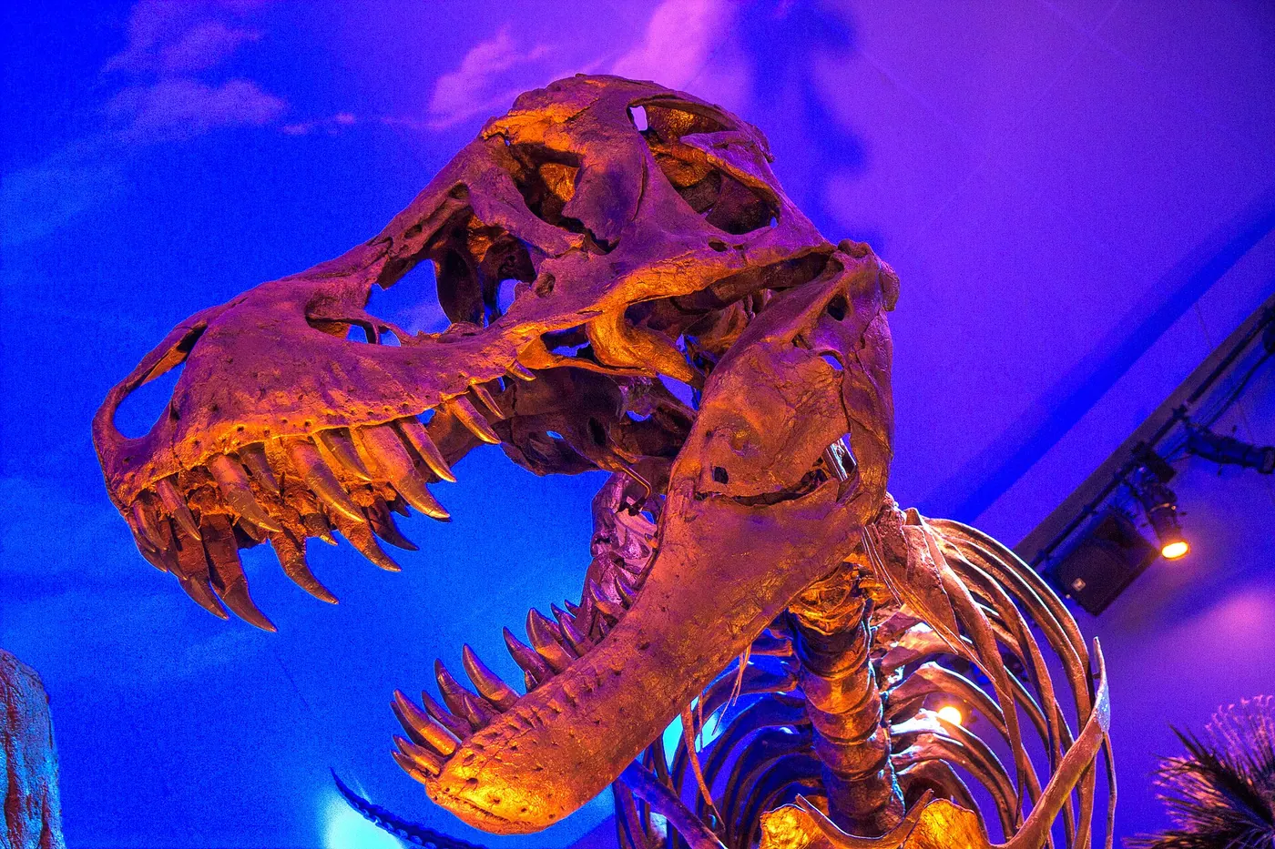 Indianapolis Children’s Museum — Indianapolis Childrens Museum 8-5-2015-5