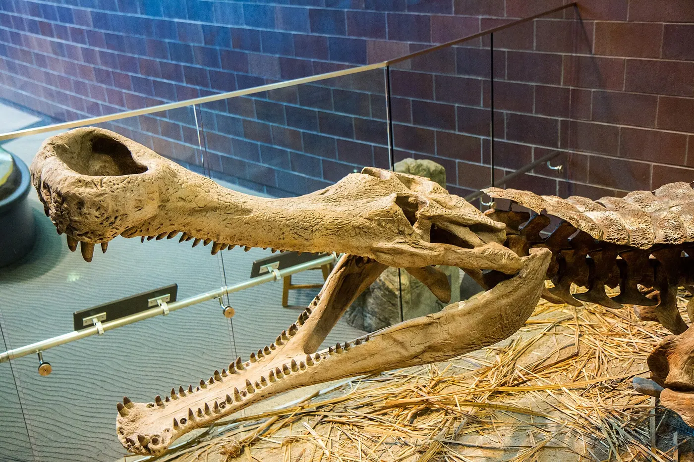 Indianapolis Children’s Museum — Indianapolis Childrens Museum 8-5-2015-4
