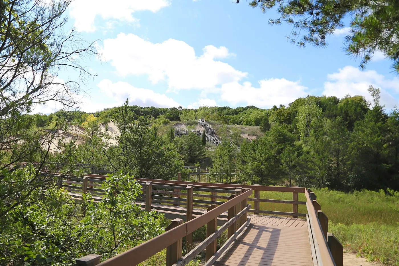 Indiana Dunes — Part of the Dunes Succession Trail at West Beach, Indiana Dunes National Park