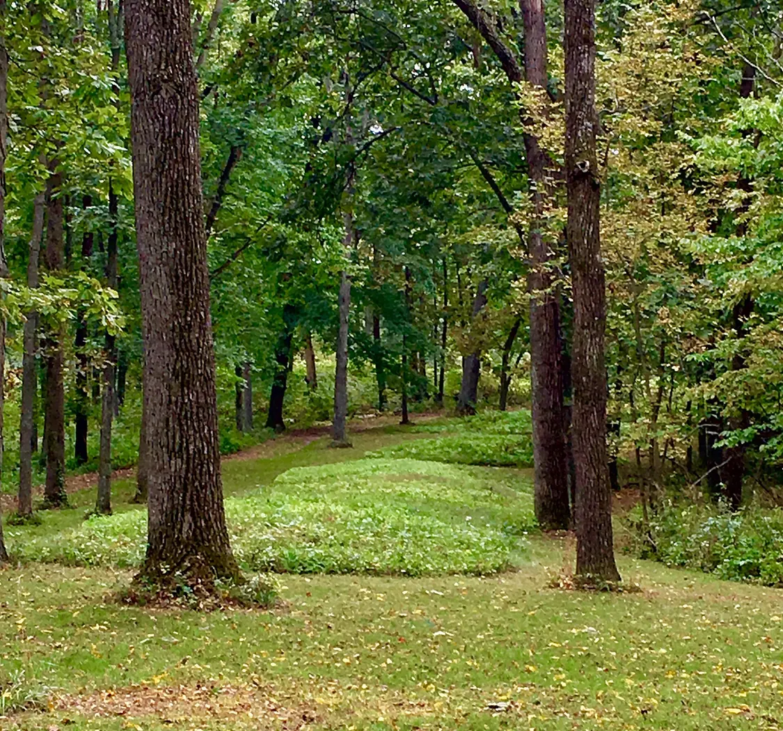 Effigy Mounds — Great Bear Mound Group, North Unit, Effigy Mounds National Monument