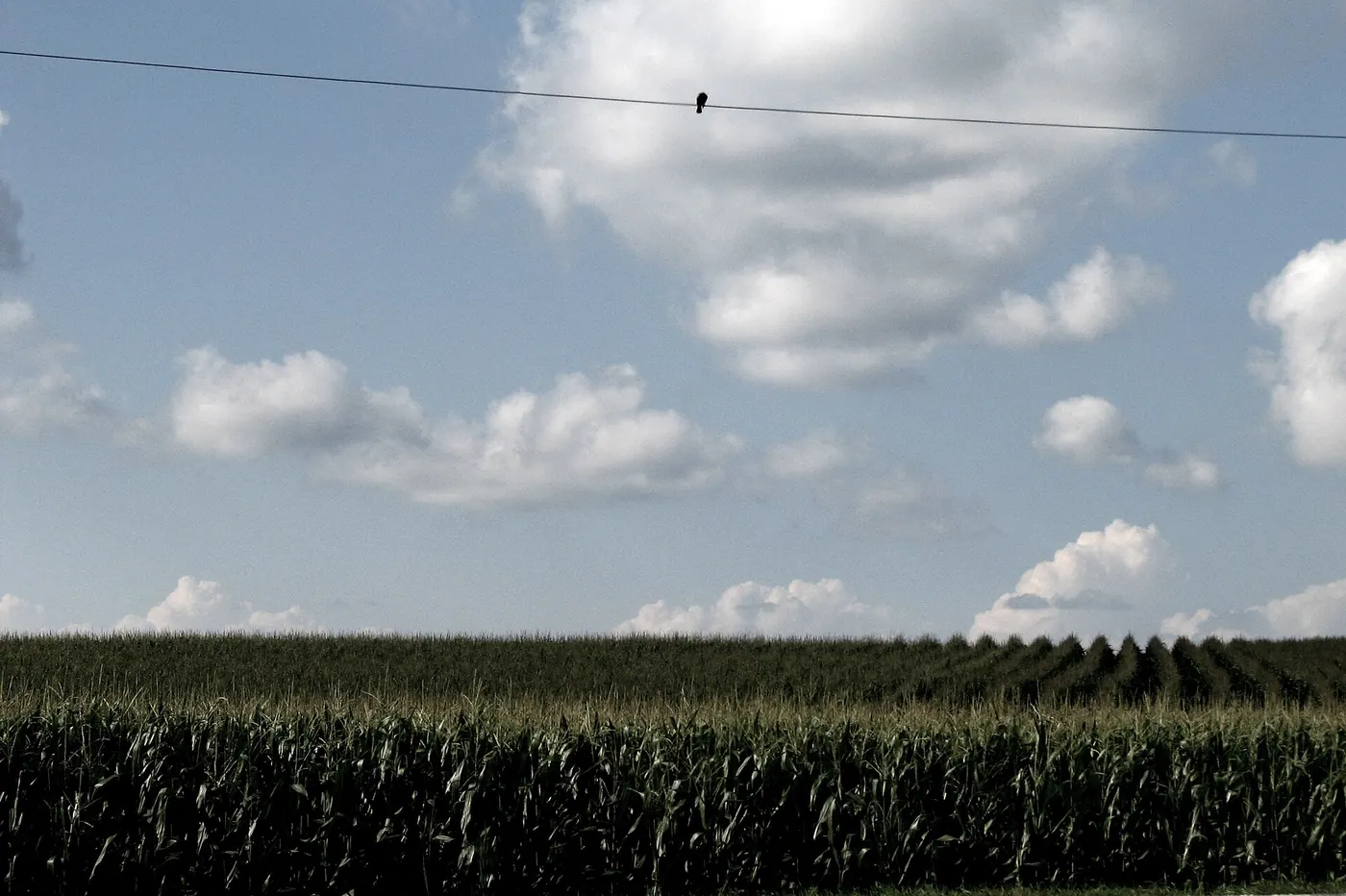 Field of Dreams — 2006-07-26 - 27 - Road Trip - Day 03 - United States - Iowa - Dyersville - Field of Dreams 4888552251