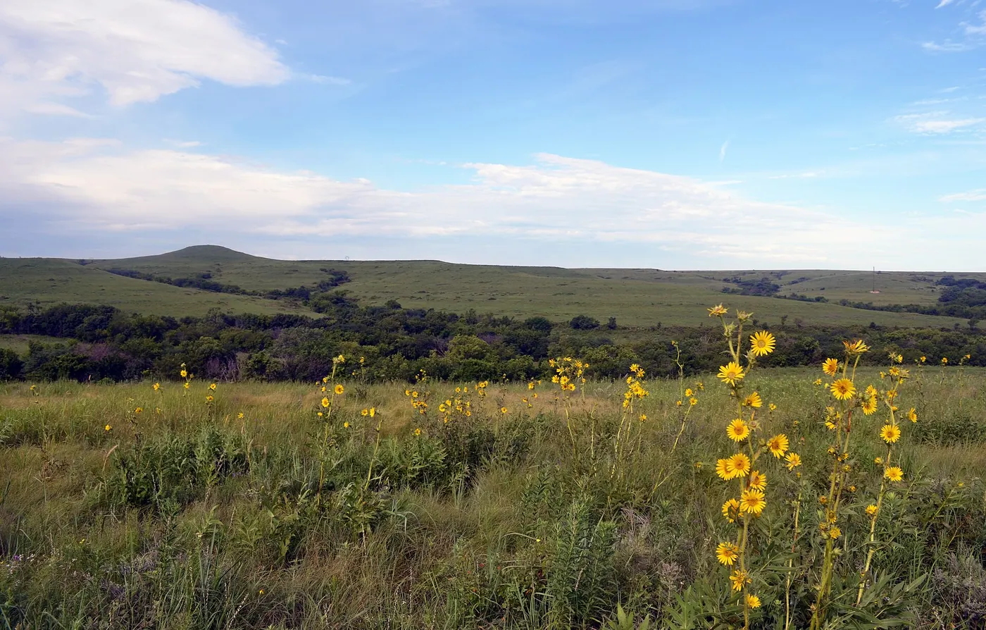 Kansas — Konza Prairie, part of the Flint Hills in Kansas (19130964193)