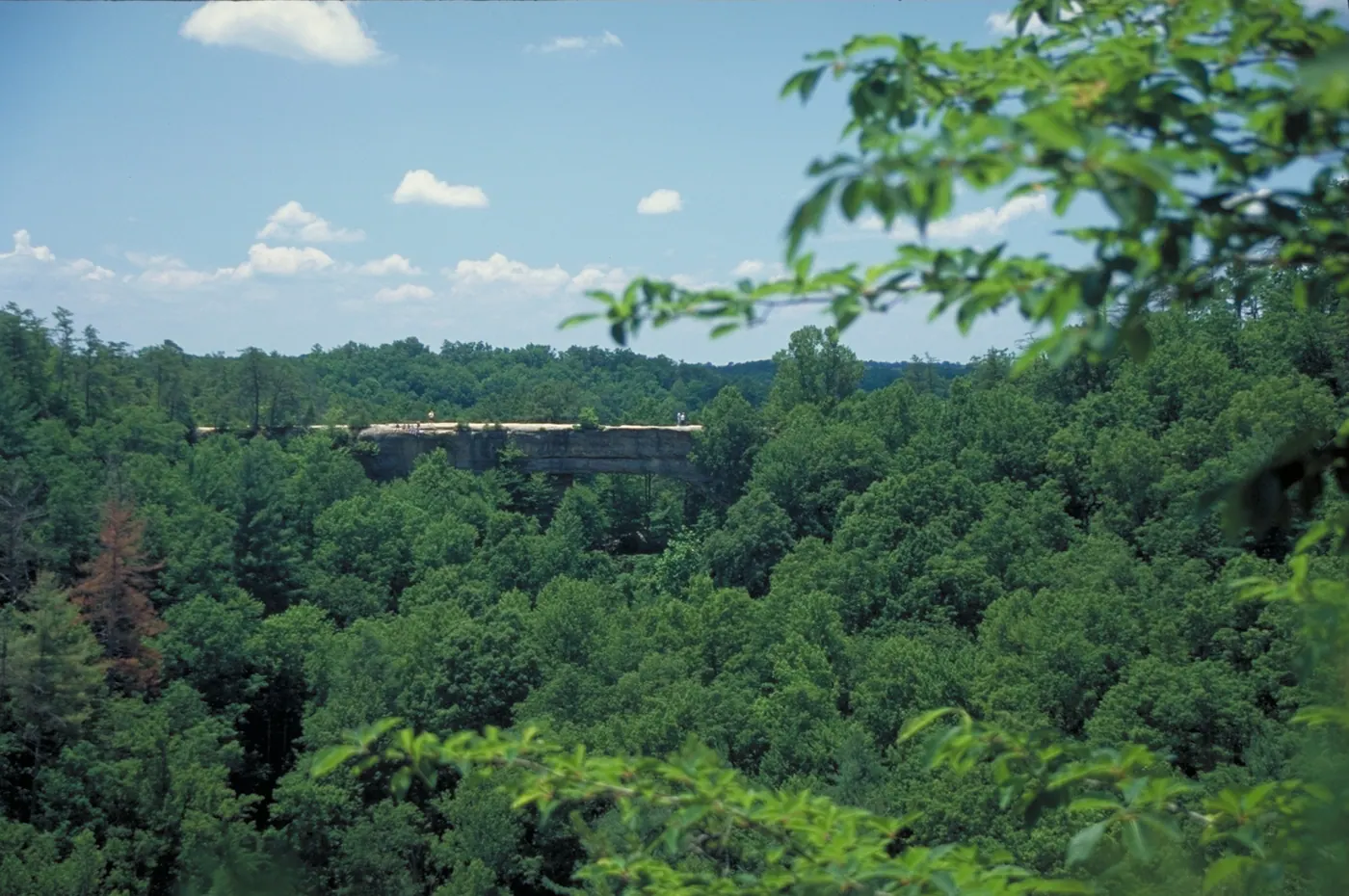 Red River Gorge — Red River Gorge Scenic Byway - View of Natural Bridge - NARA - 7721222