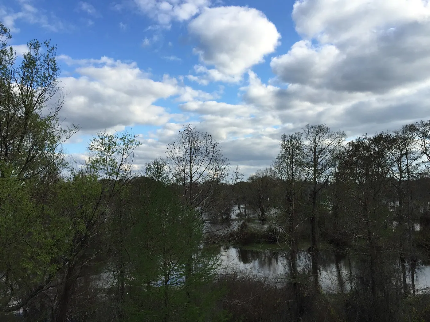 Atchafalaya & River Road — 2016-03-22 17 48 09 View south into the Atchafalaya Swamp from Interstate 10 near milepost 118 as it crosses the Atchafalaya Basin Bridge in St. Martin Parish, Louisiana
