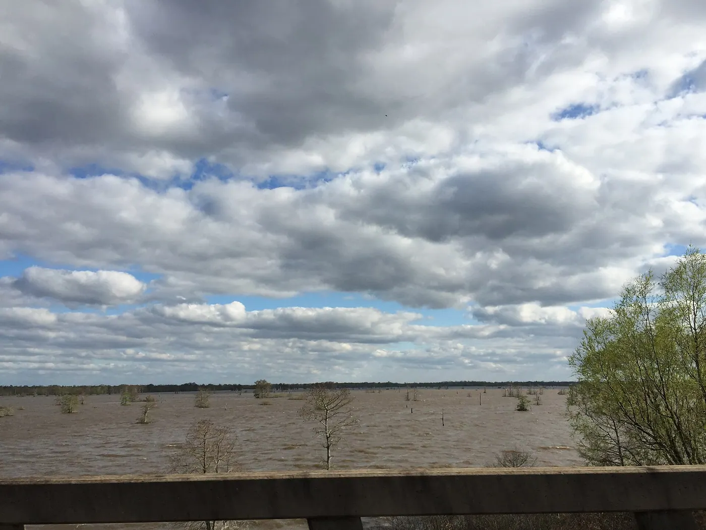 Atchafalaya & River Road — 2016-03-22 16 59 06 View south into the Atchafalaya Swamp from Interstate 10 near milepost 120 as it crosses the Atchafalaya Basin Bridge in St. Martin Parish, Louisiana