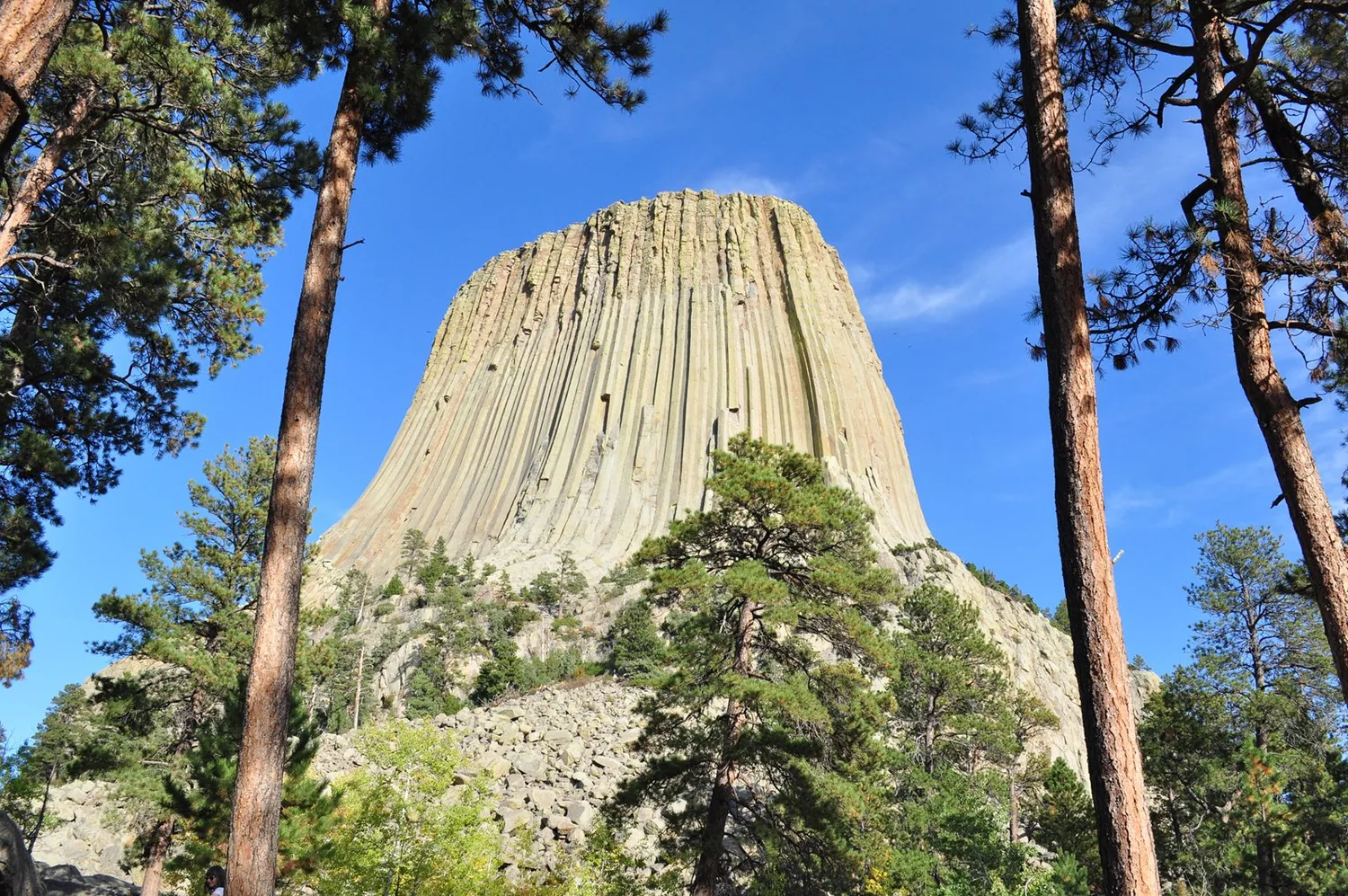 Image of Devils Tower National Monument
