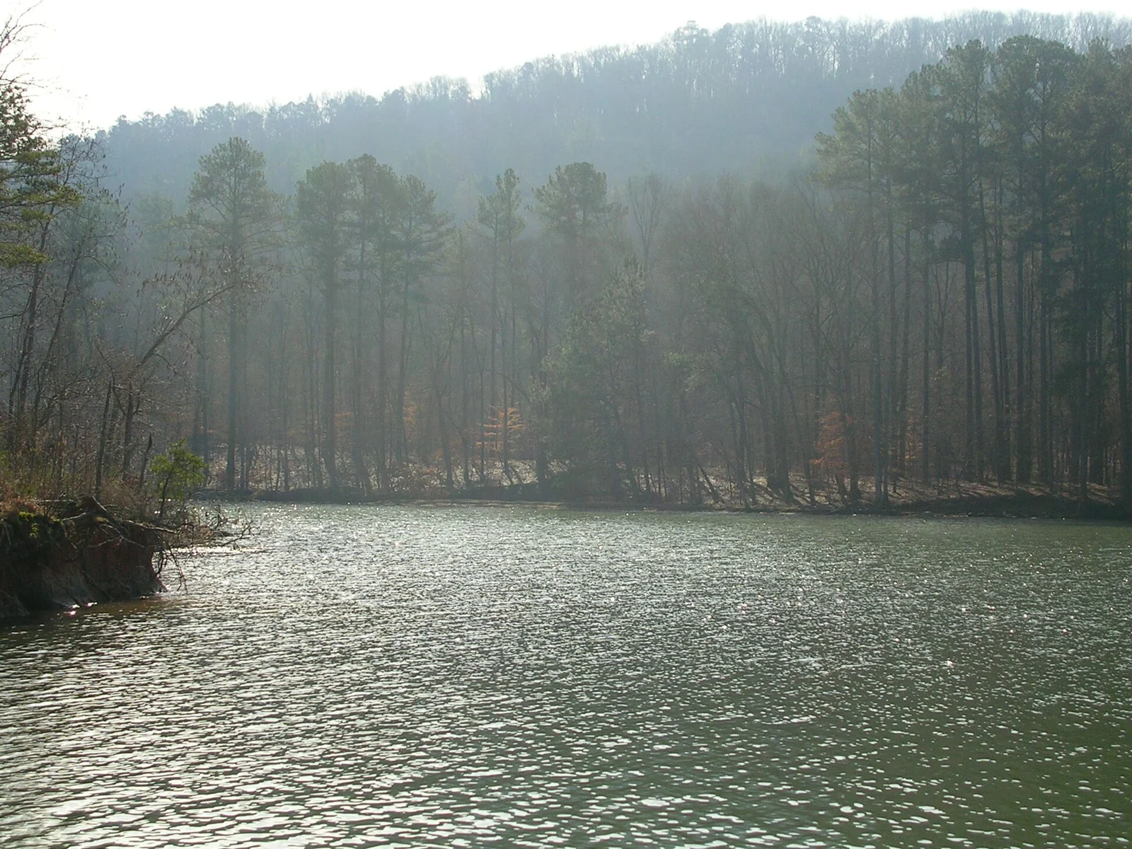 Lake Guntersville State Park landscape