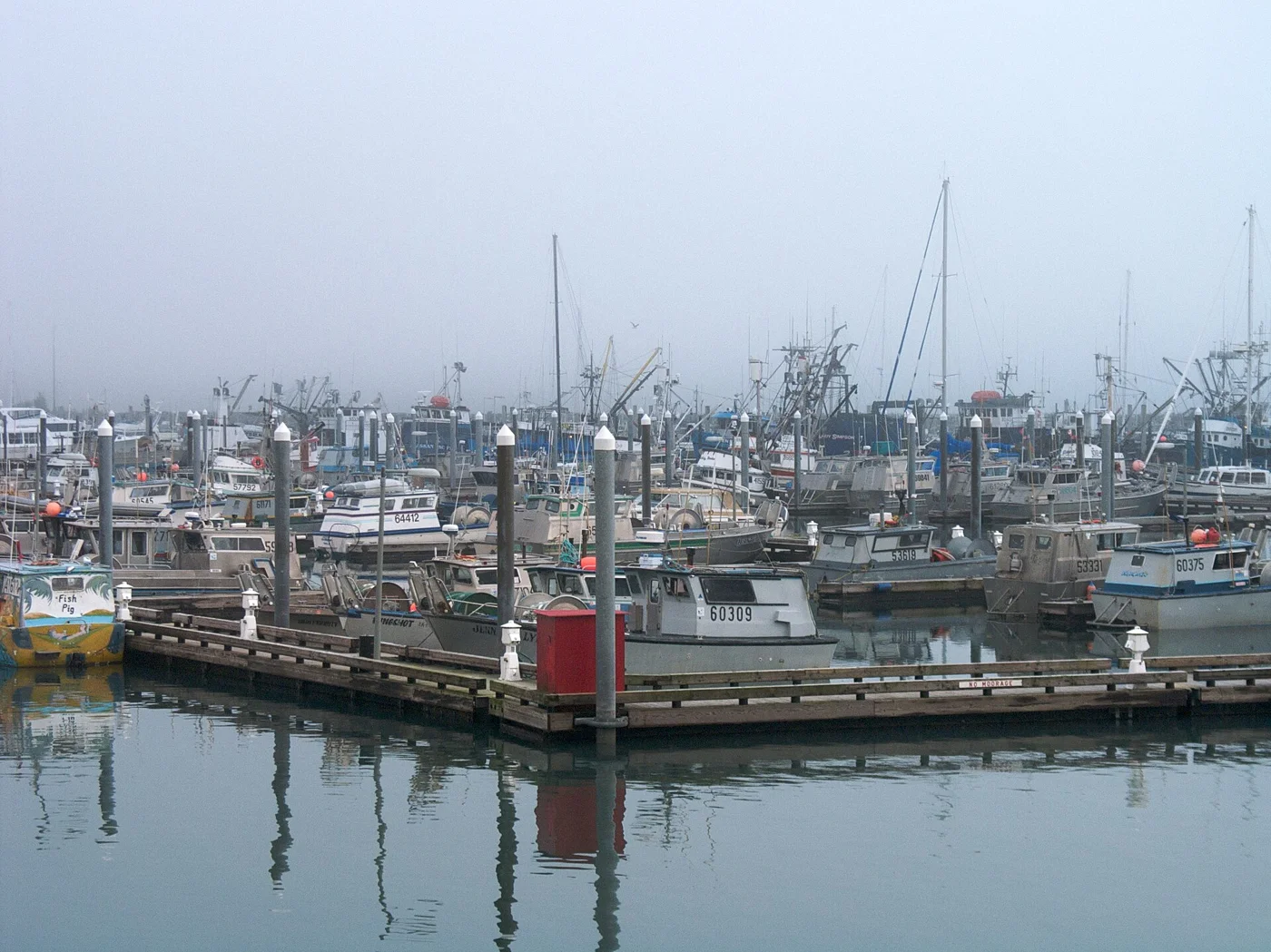 Cordova harbor on Prince William Sound