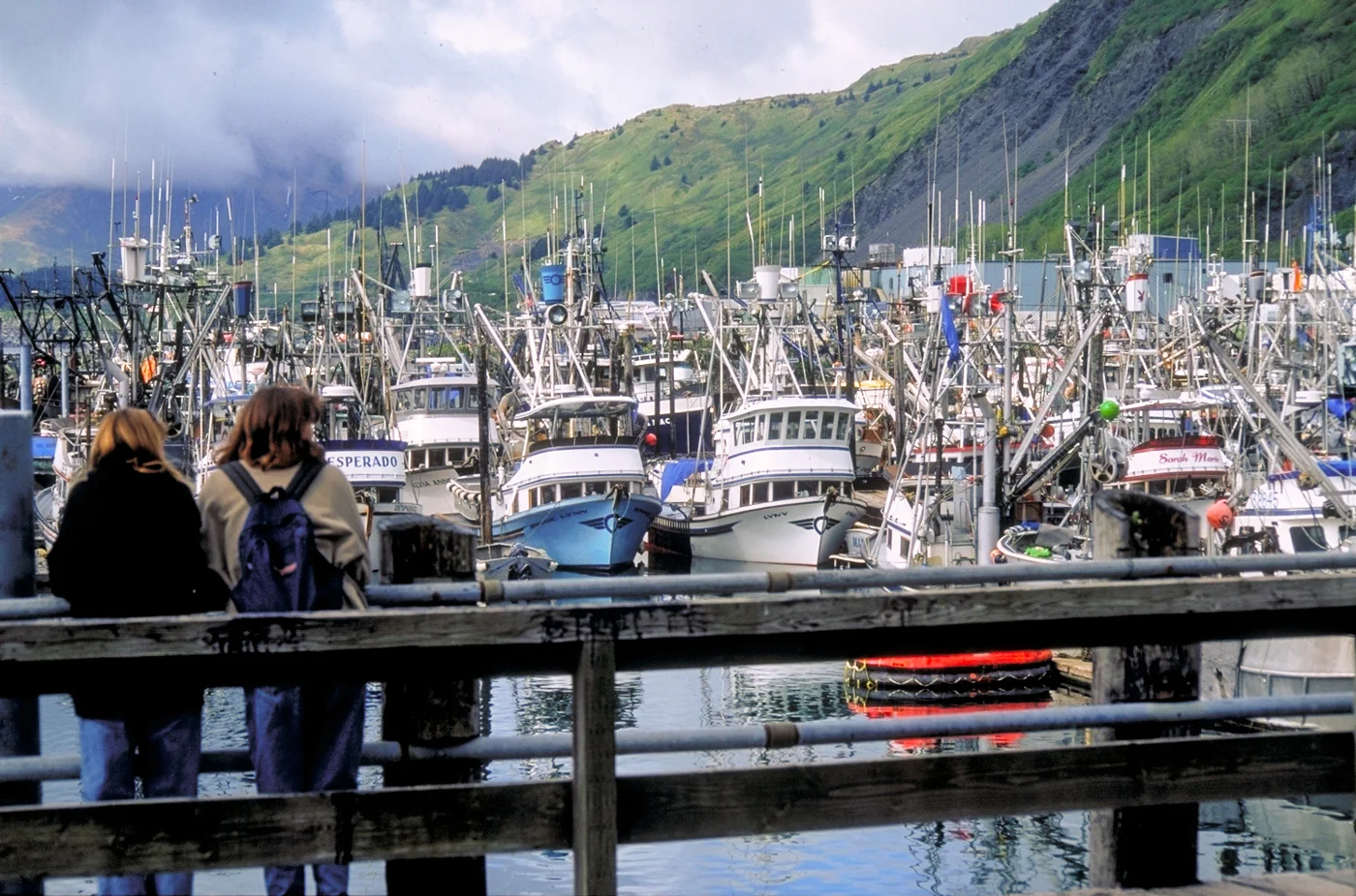 Kodiak harbor beneath green hills