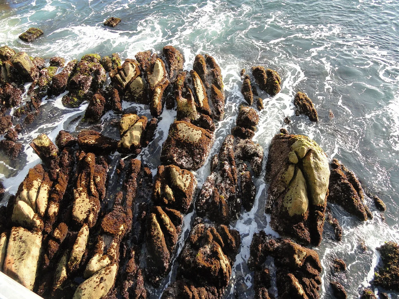 Rocky shoreline along Cannery Row in Monterey