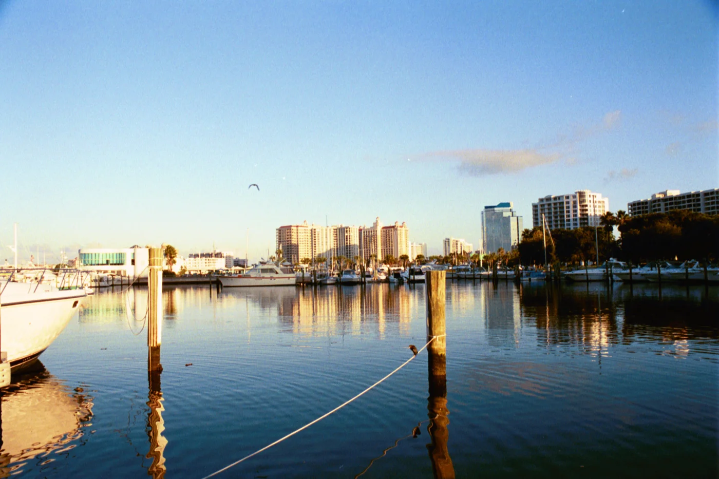 Boats and buildings along Sarasota’s bayfront