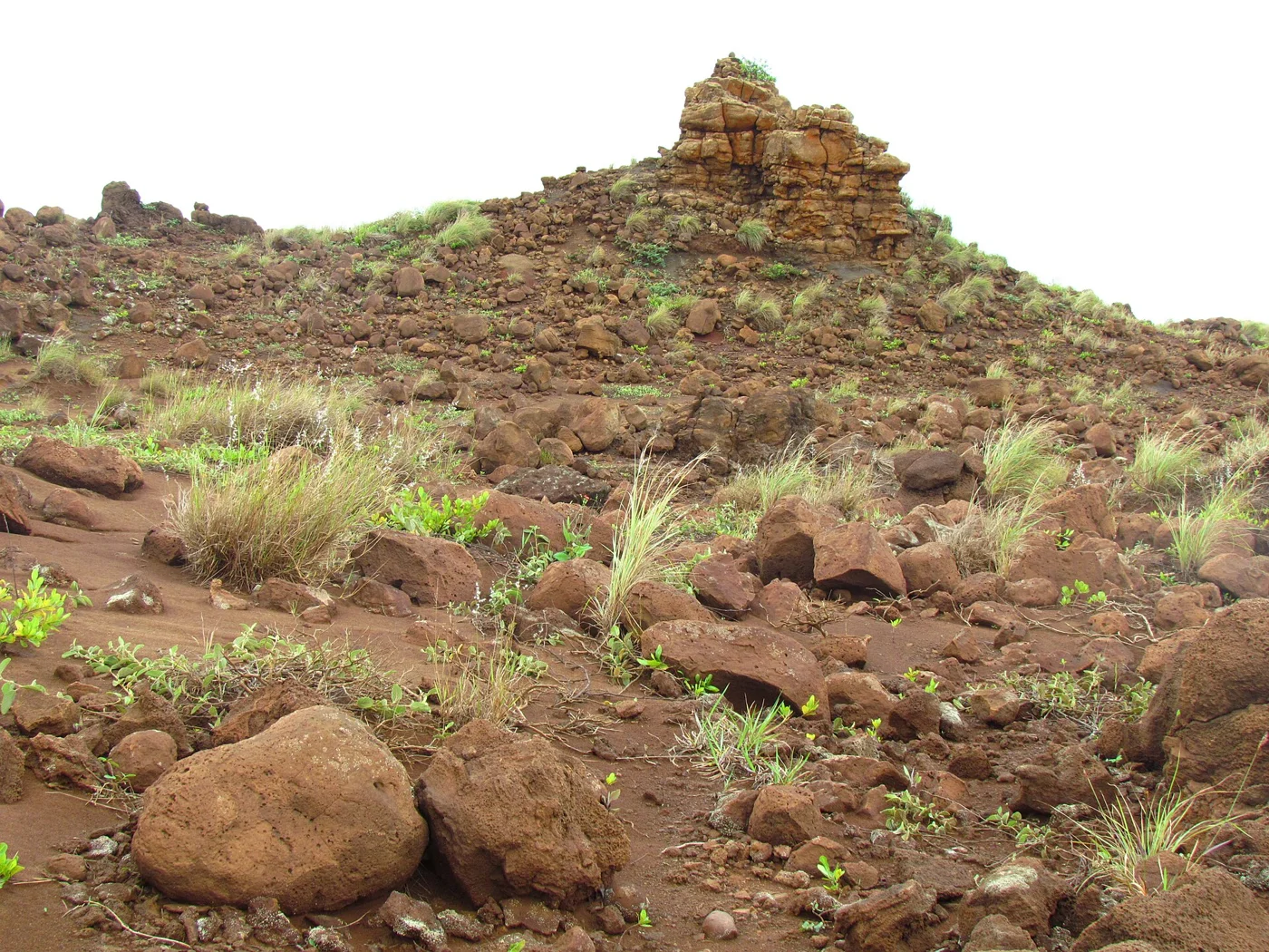 Weathered rock formations at Keahiakawelo on Lānaʻi