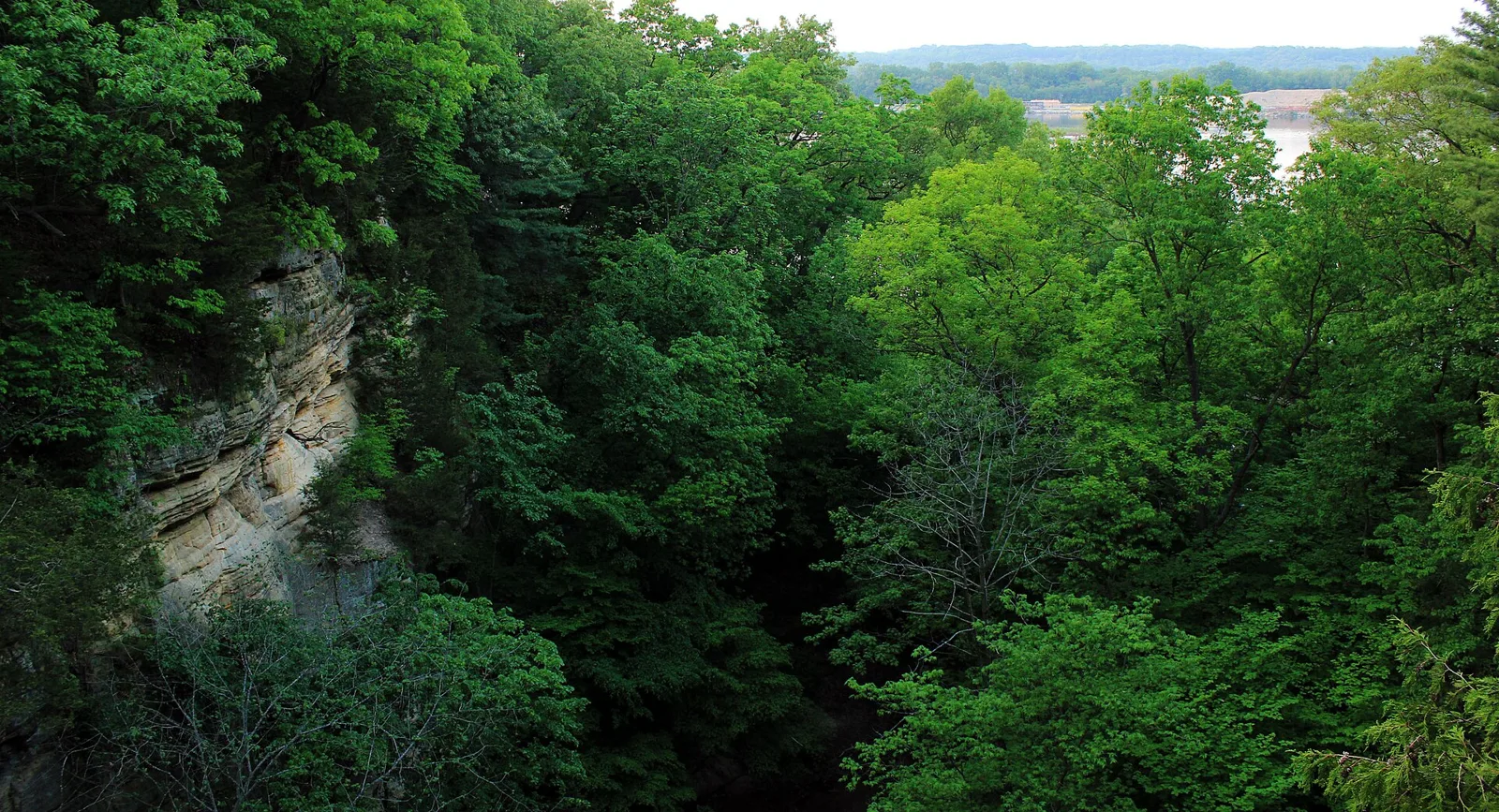 Wooded canyon scenery at Starved Rock State Park