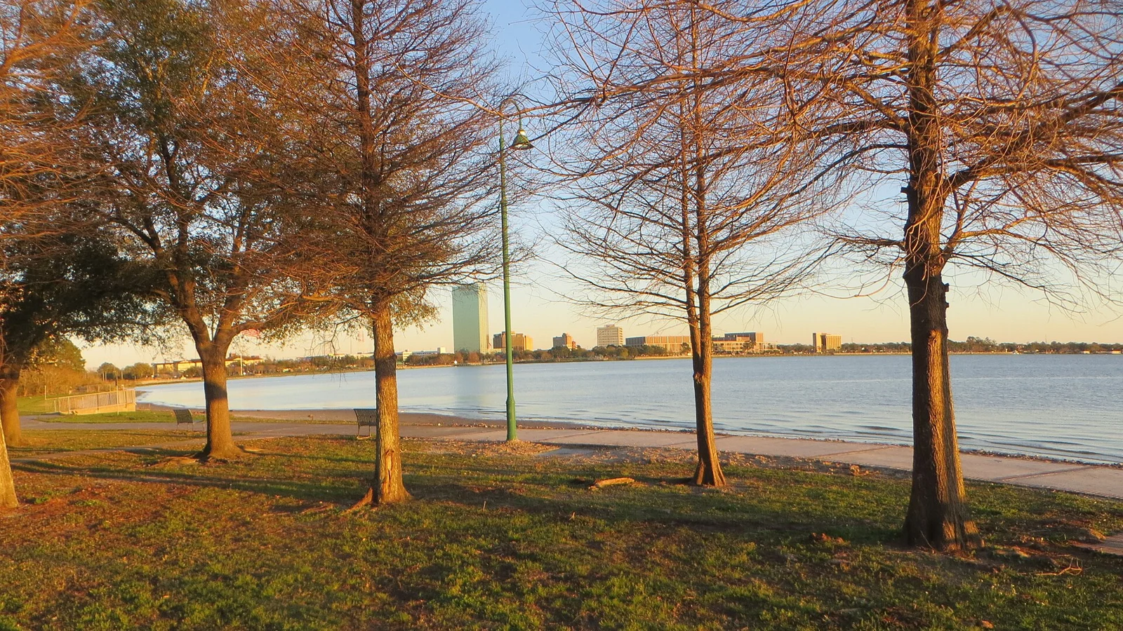 Lakefront trees in Lake Charles, Louisiana