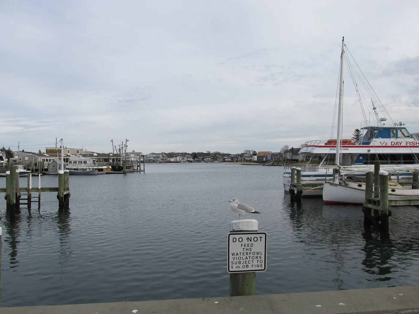 Boats in Hyannis Inner Harbor