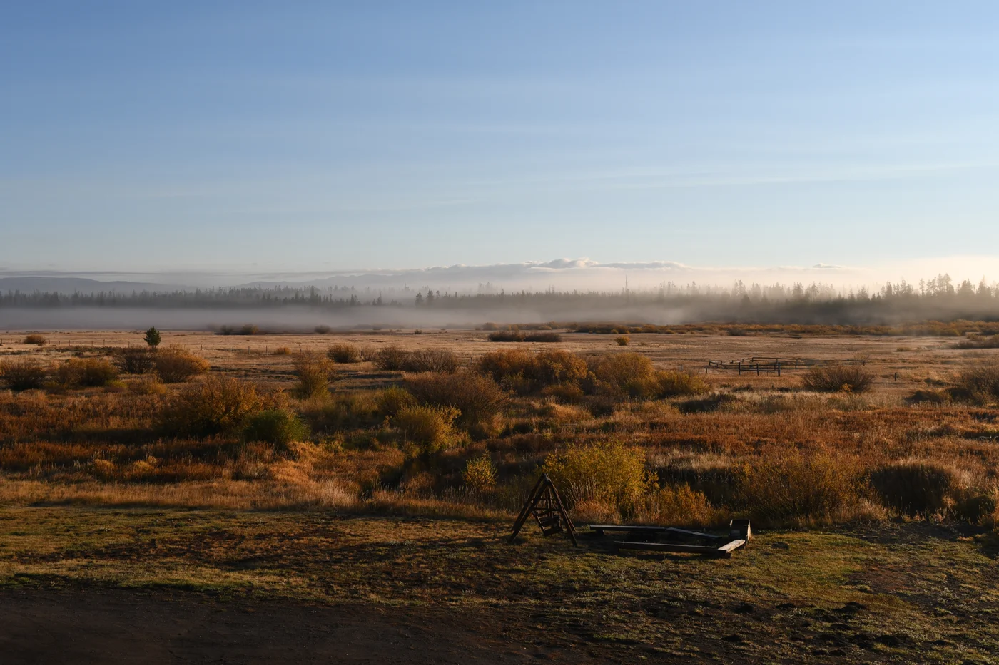 Sunrise over a field west of West Yellowstone, Montana