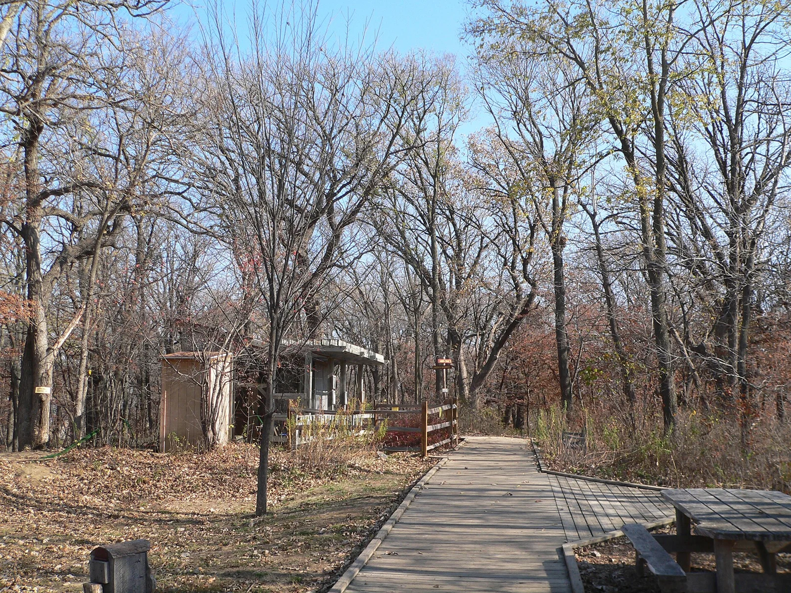 Boardwalk through Fontenelle Forest in Bellevue, Nebraska