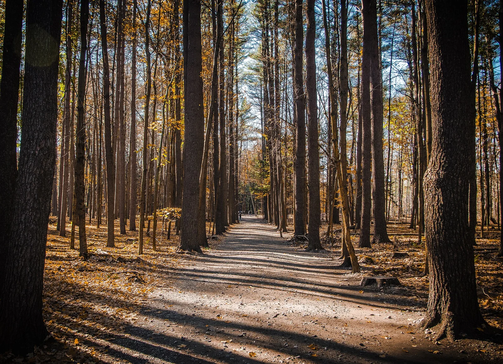 Saratoga Spa State Park.jpg