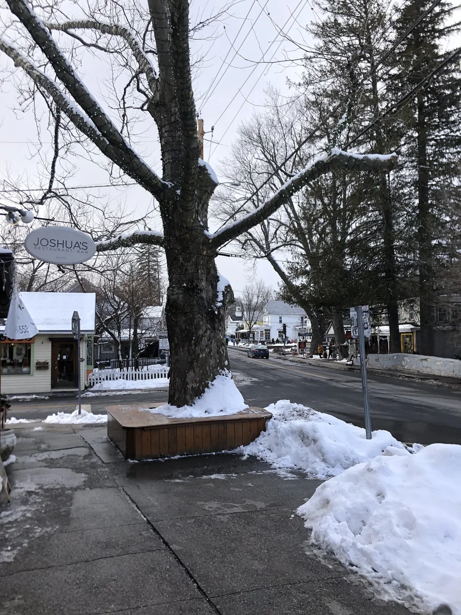Looking west from Tinker Street and Tannery Brook Road.jpg