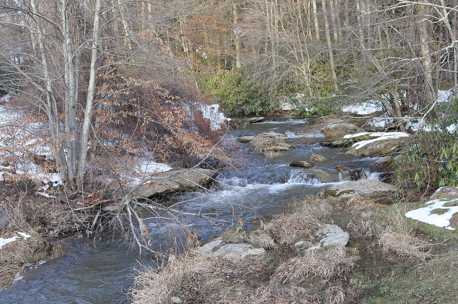 Shawneehaw Creek in Banner Elk, North Carolina