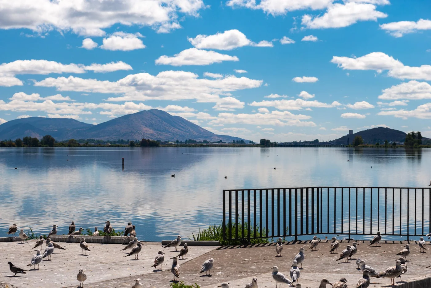 Lake Ewauna from Veterans Memorial Park in Klamath Falls, Oregon