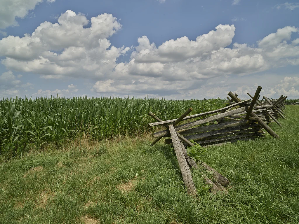 Split-rail fence beside a cornfield at the Gettysburg National Military Park, in Gettysburg, Pennsylvania, which protects and interprets the landscape of the 1863 Battle of Gettysburg during the American Civil War. The park is managed by the National Park Service