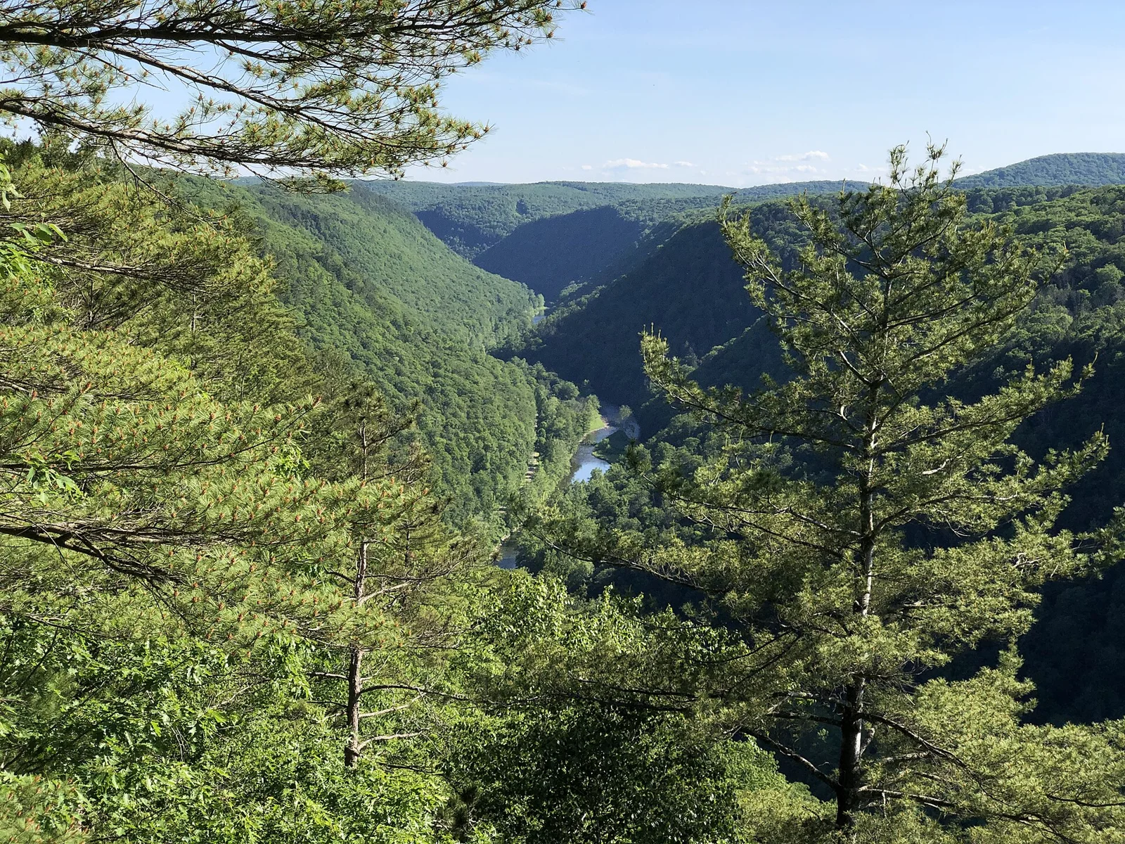 2022-06-14 17 17 41 View southwest down Pine Creek Gorge from an overlook within Leonard Harrison State Park in Shippen Township, Tioga County, Pennsylvania.jpg