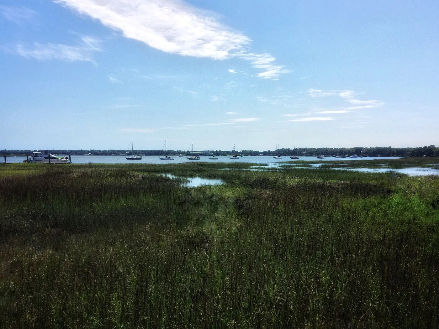Marshes along the Intracoastal Waterway in Beaufort