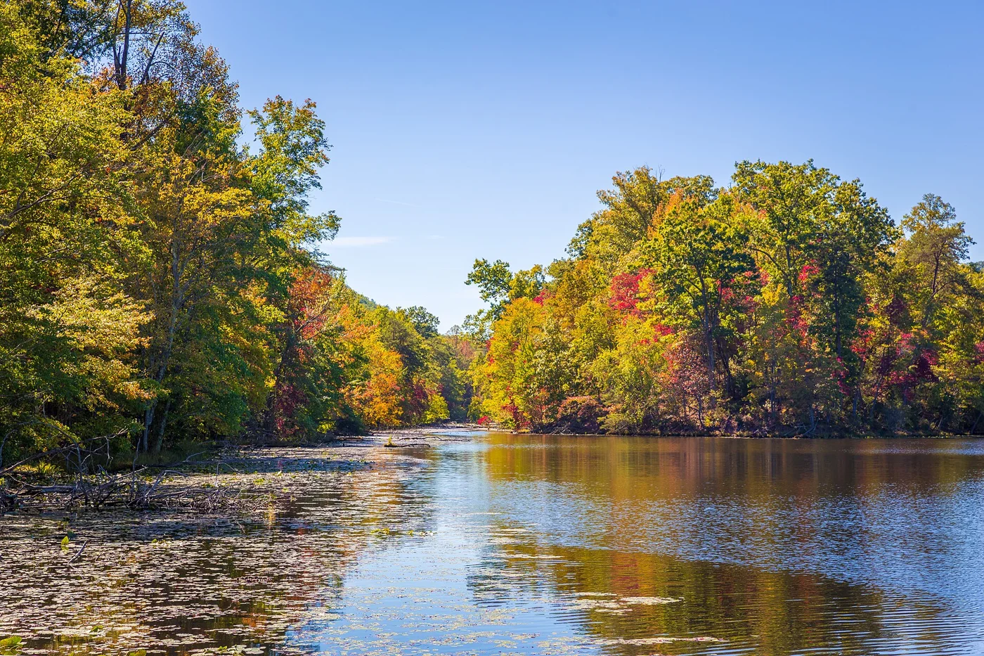 Bays Mountain Park, Kingsport