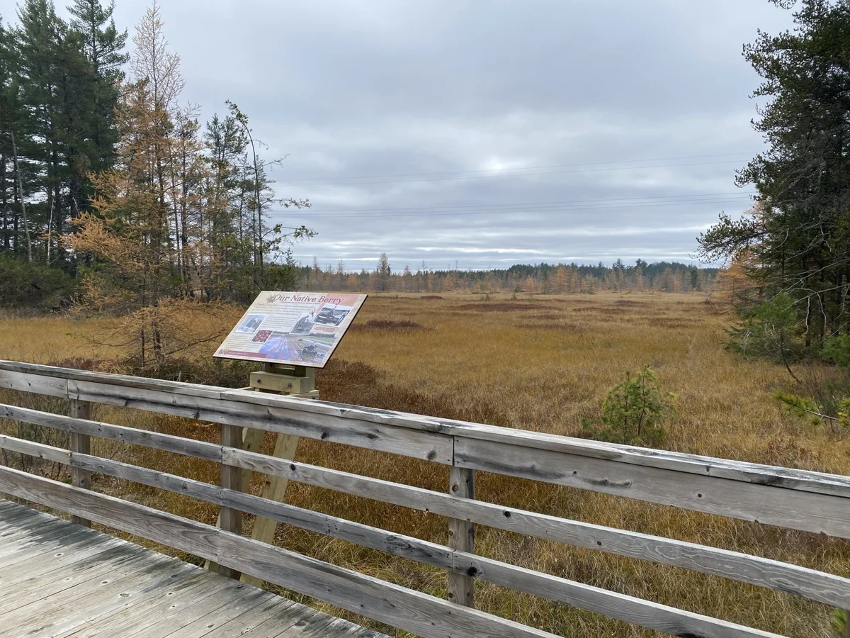 Boardwalk and interpretive sign on the Three Eagle Trail