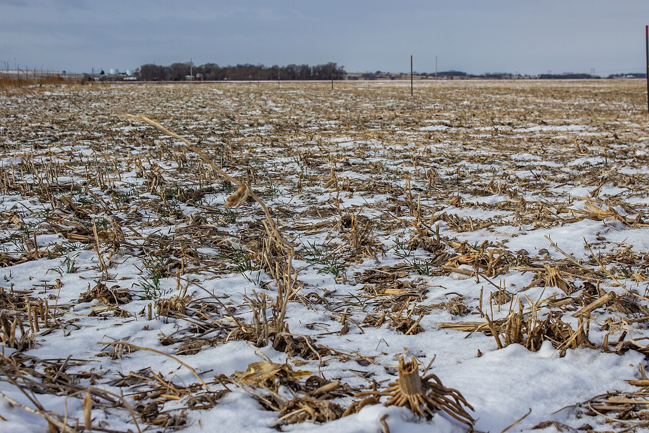 Farming in Vermillion, South Dakota