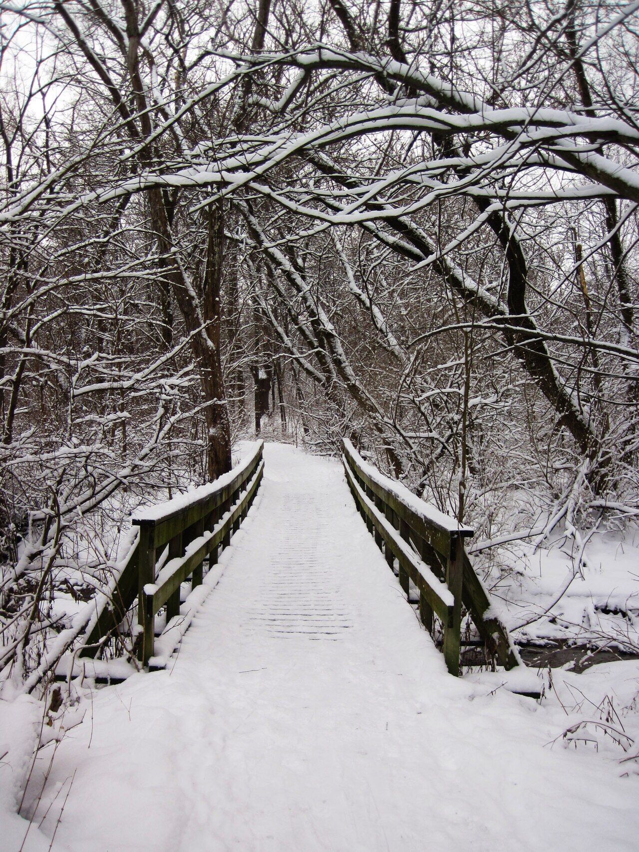 Destination photograph documented on Iowa City