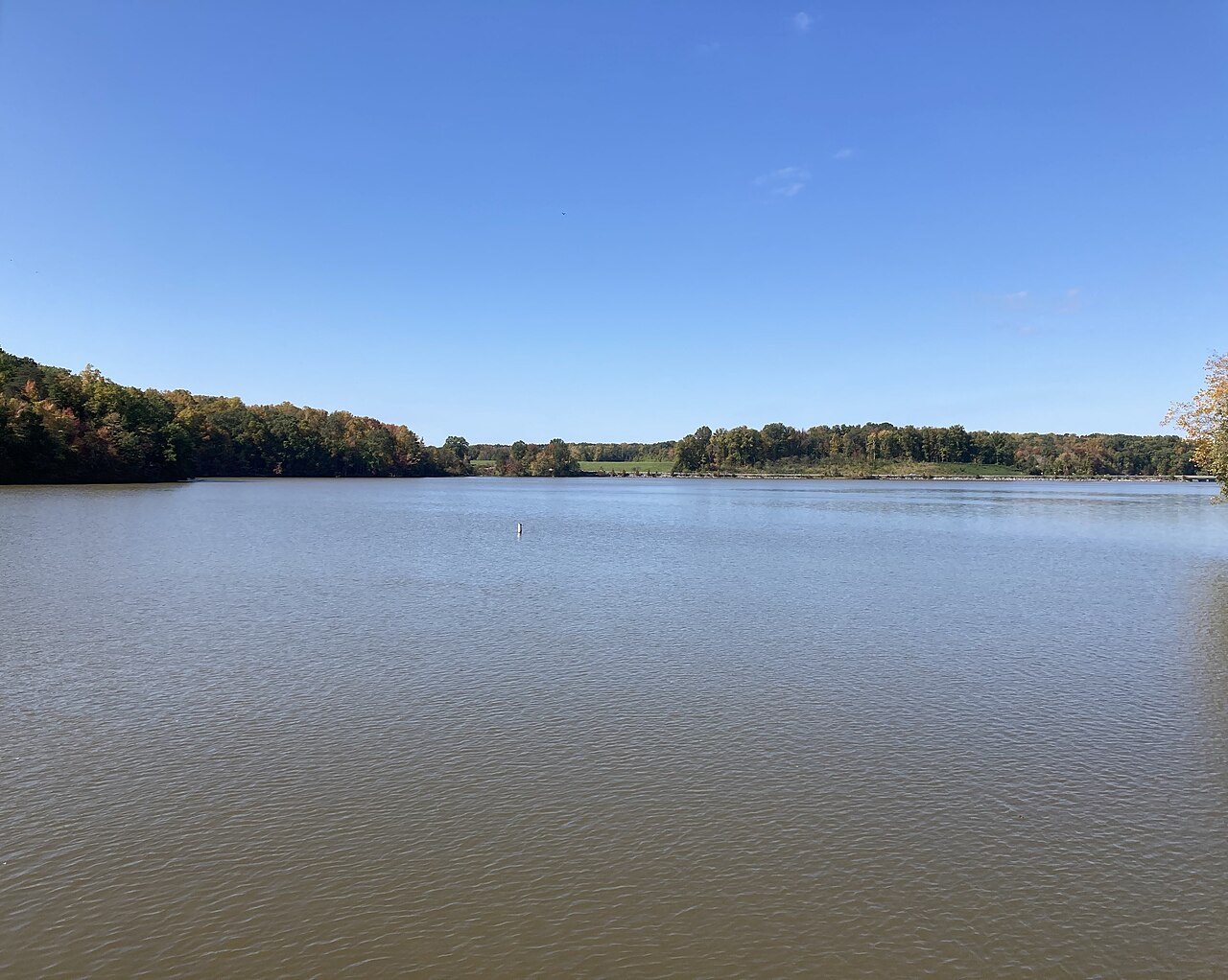 Lake Brandt in Greensboro , North Carolina ( United States ).